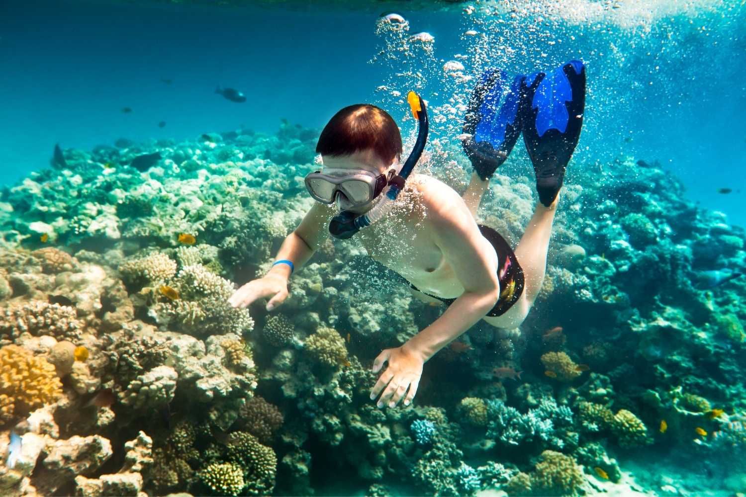 snorkelling-in-goa